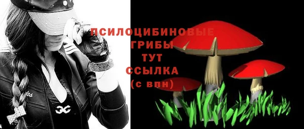 молекула духа Саяногорск