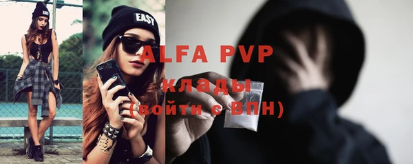 молекула духа Саяногорск